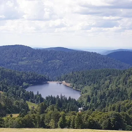 Vakantiehuis Maison Chaleureuse La Meybel La Bresse