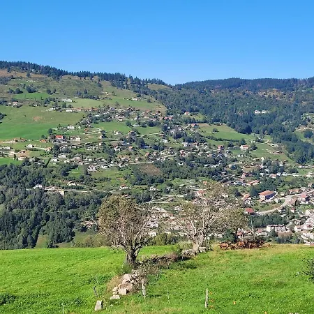 Maison Chaleureuse La Meybel Holiday home La Bresse