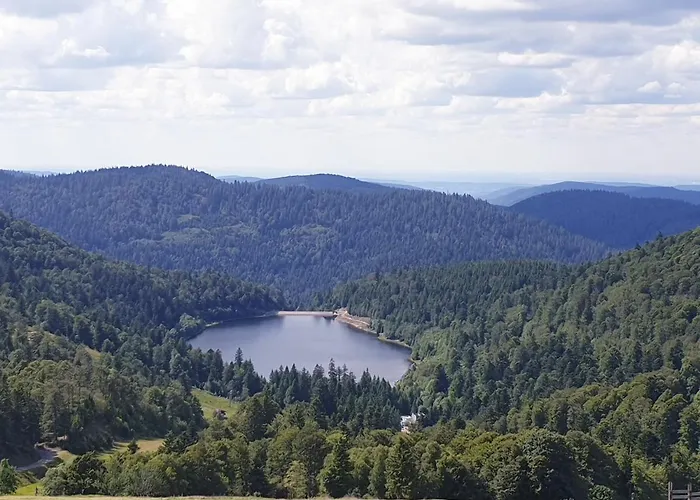 Vakantiehuis Maison Chaleureuse La Meybel La Bresse